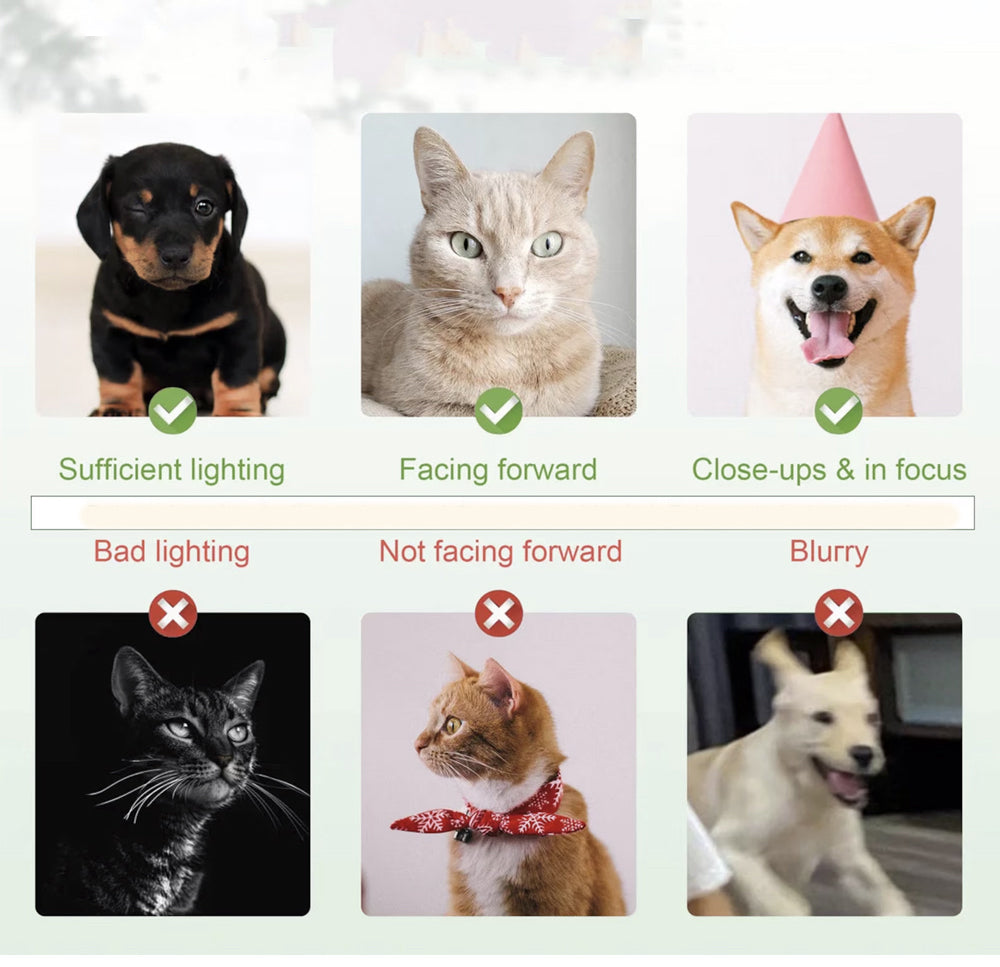 Custom Pet Bowl Mats