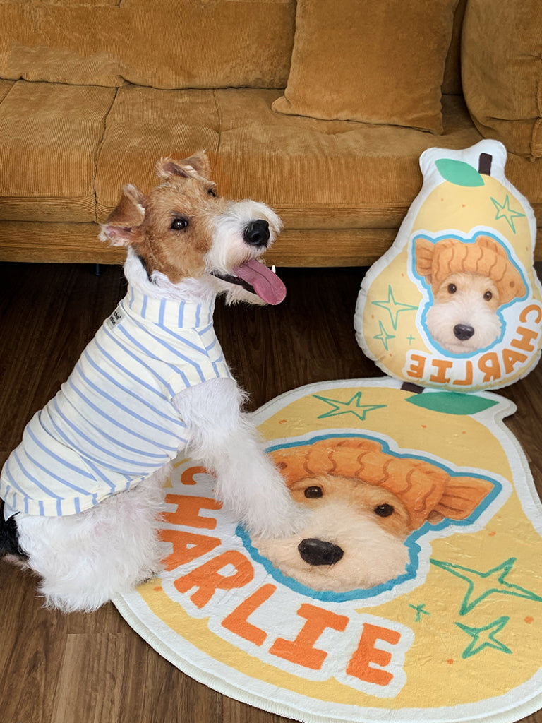 Custom Pet Portrait Rug