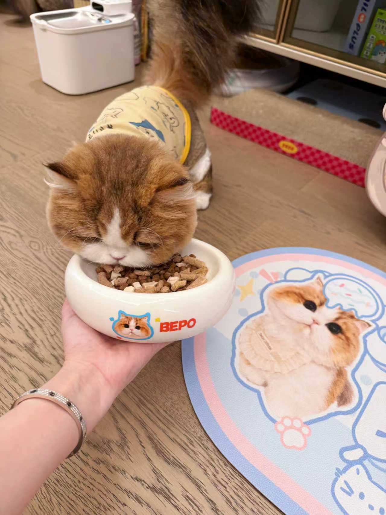 Custom Pet Bowl Mats