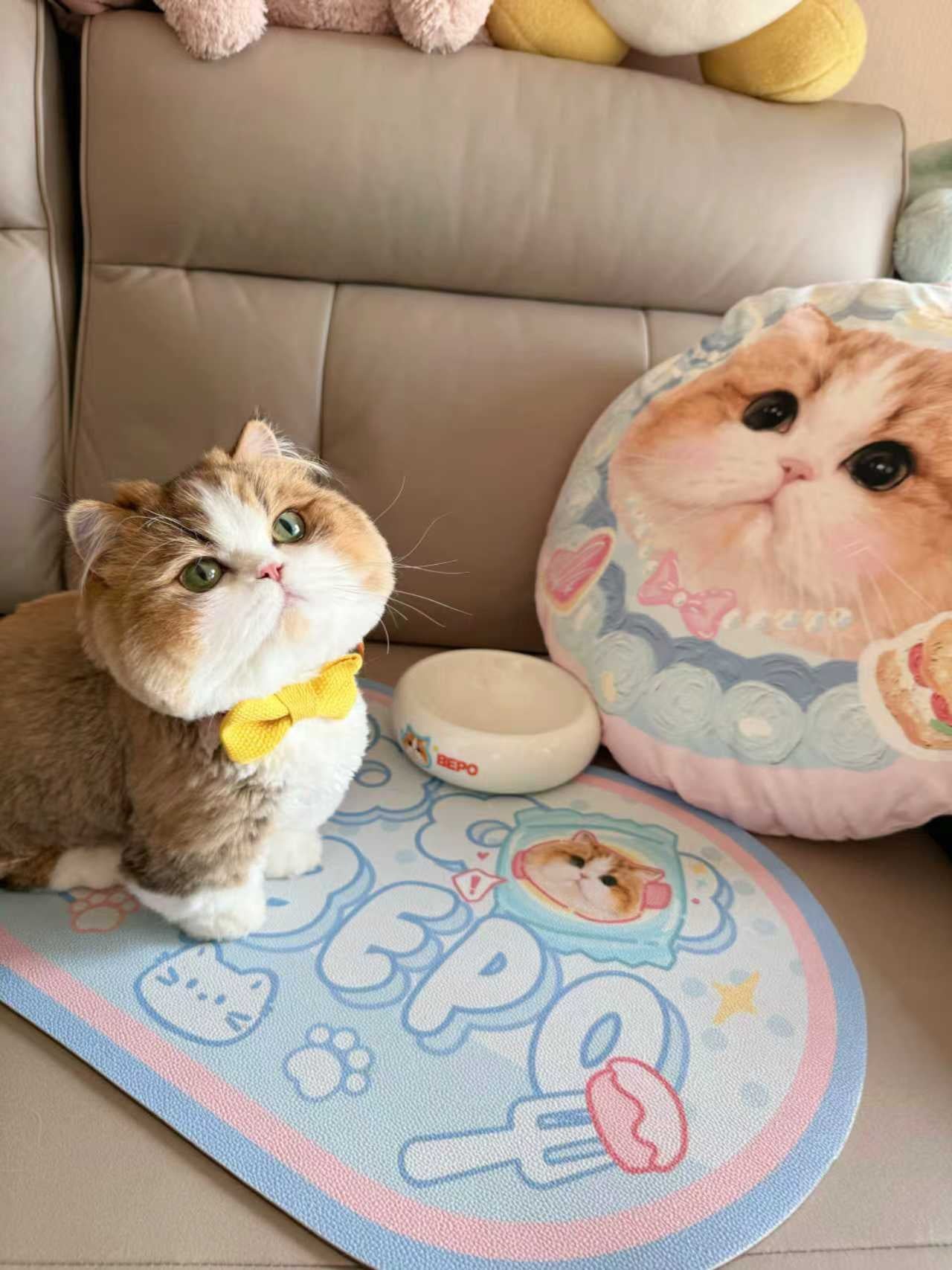 Custom Pet Bowl Mats