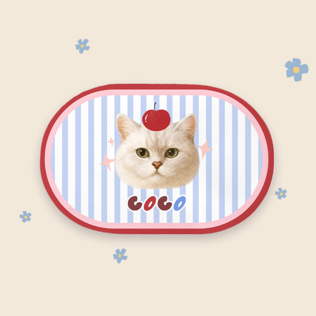 Custom Pet Bowl Mats